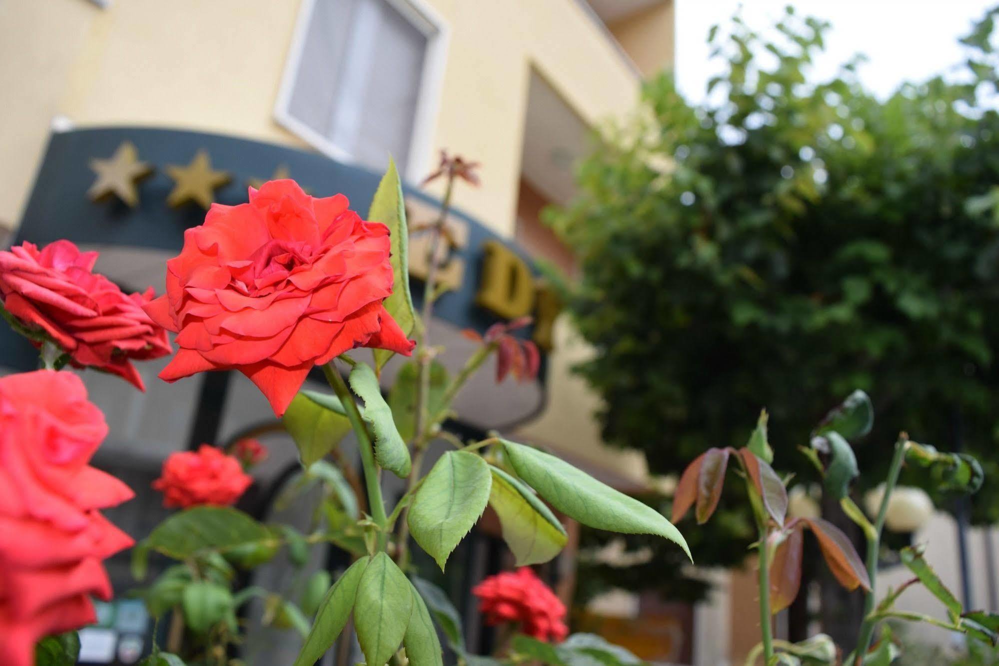 Eco-Hotel Edy Chianciano Terme Exteriör bild